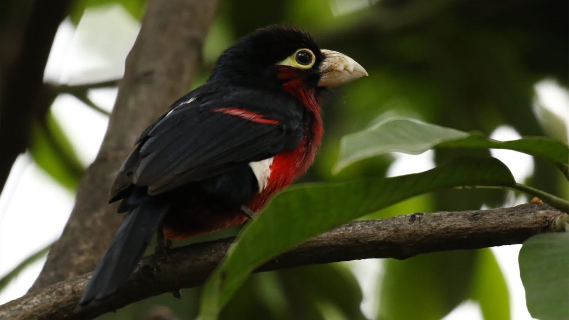 _科技助力运动:智能穿戴助攻运动表现_,智能运动穿戴设备