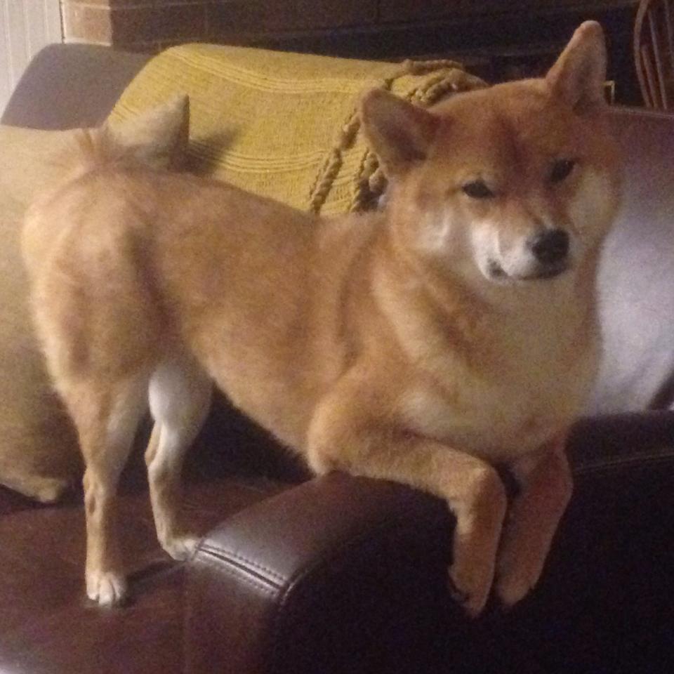 《【未来展望】2025年电竞行业或迎来新一轮爆发》,未来20年电竞发展趋势