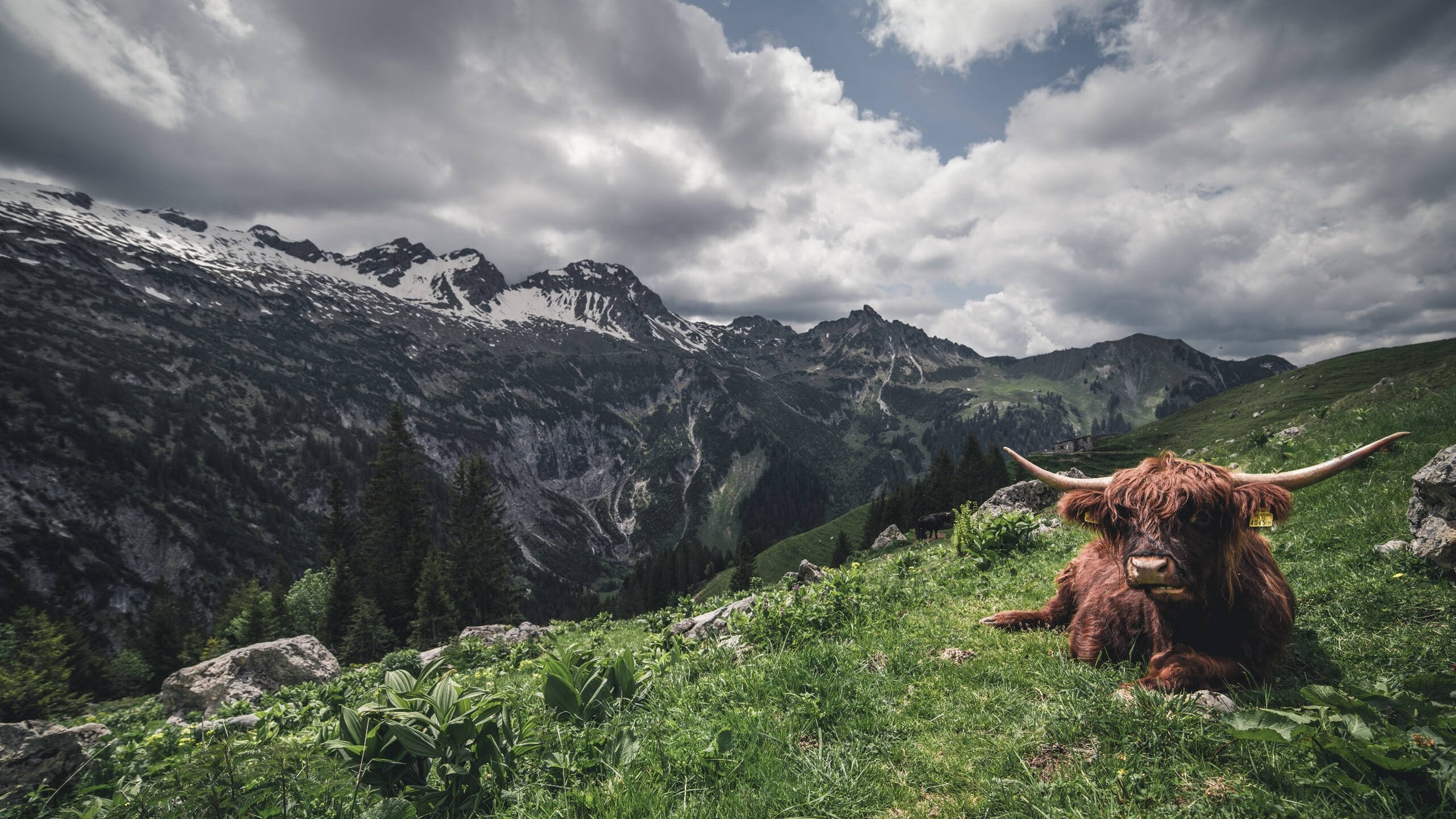 埃文·富尼耶(Evan Fournier)确认将代表法国出战巴黎奥运会,埃文富尼埃