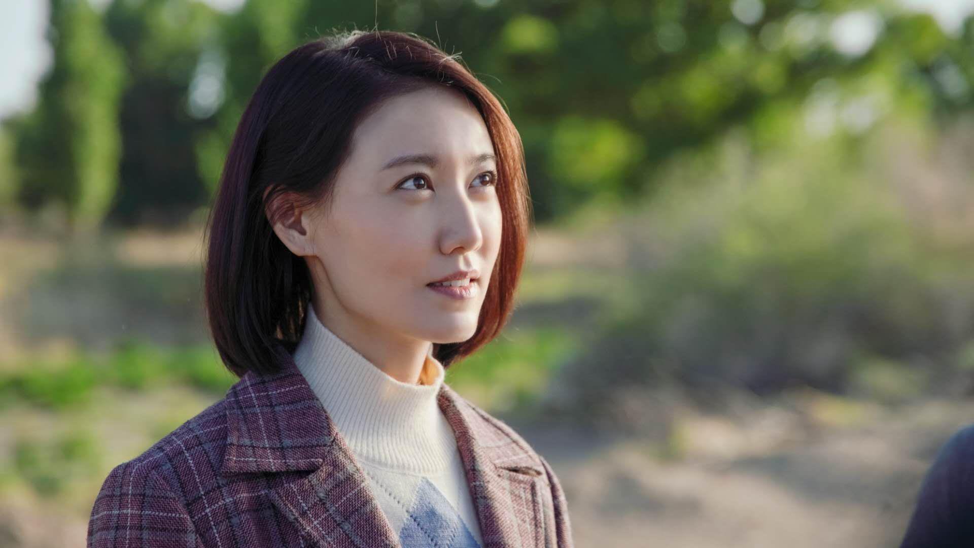 开云电竞赛事-巴西马术协会举办马术运动员国际交流活动，促进文化互鉴。，巴西奥运会马术冠军